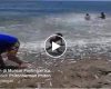 Bukan Cilacap Video Banjir Ikan ini Terjadi di Pantai Banyuwangi